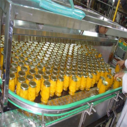 黄桃罐头生产线就选平康源头厂家