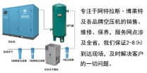 BD100+-300+ (ZP) 双塔式吸附式干燥机